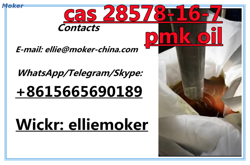 Reines Pmk-Glycidatpulver, Pmk-Öl Cas 28578-16-7