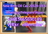 "Cas 20320-59-6 Neues Bmk-Öl Diethyl (Phenylacetyl) Malonat Heißer Verkauf in Großbritannien, Holland ..."